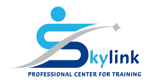 SkyLink